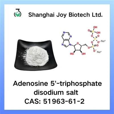 Adenosine 5'-triphosphate Disodium Salt CAS 51963-61-2